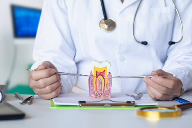 Best Emergency Dental Care for Abscessed Tooth in Earlysville, VA